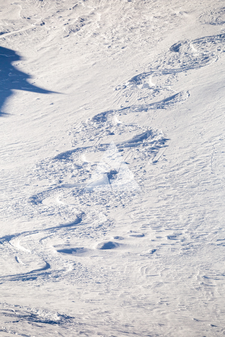 "Painting in snow, arches from skiers in powder snow" stock image