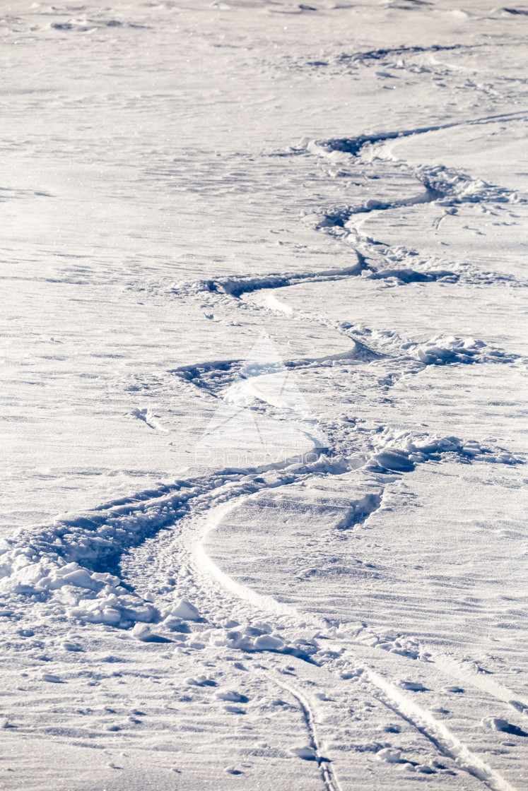 "Painting in snow, arches from skiers in powder snow" stock image