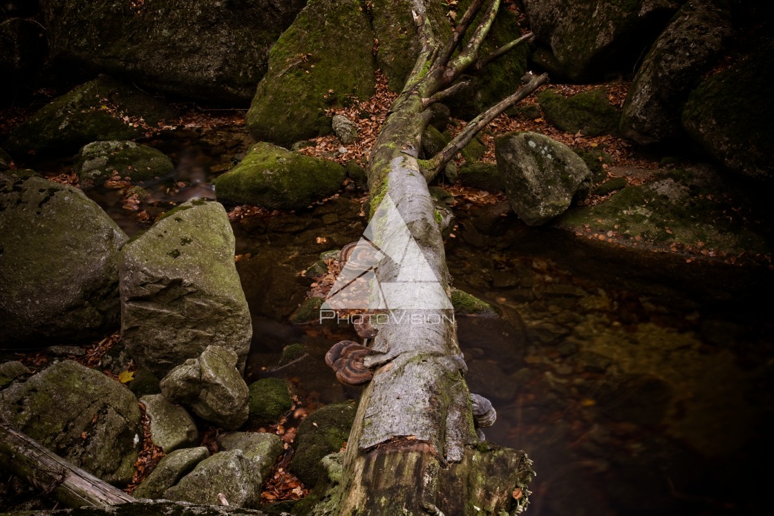 "Waterfalls on the creek" stock image