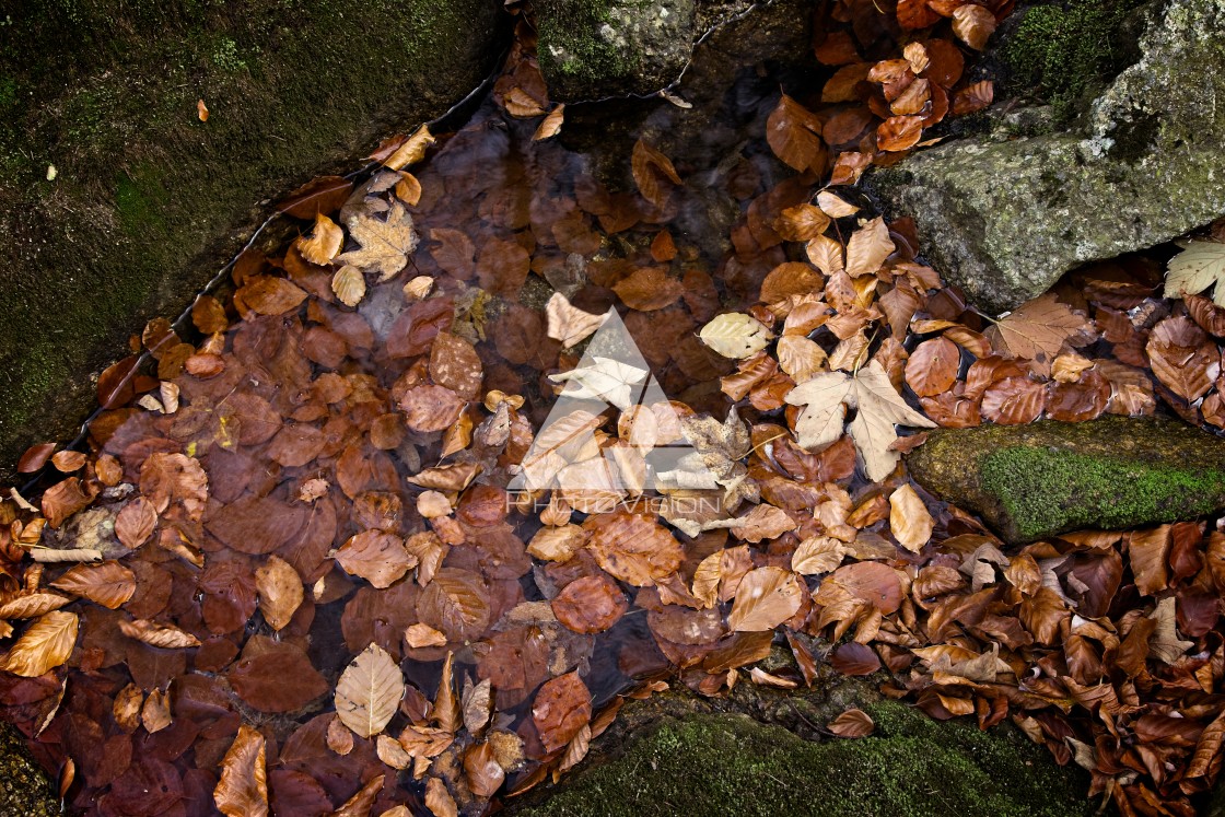 "Waterfalls on the creek" stock image