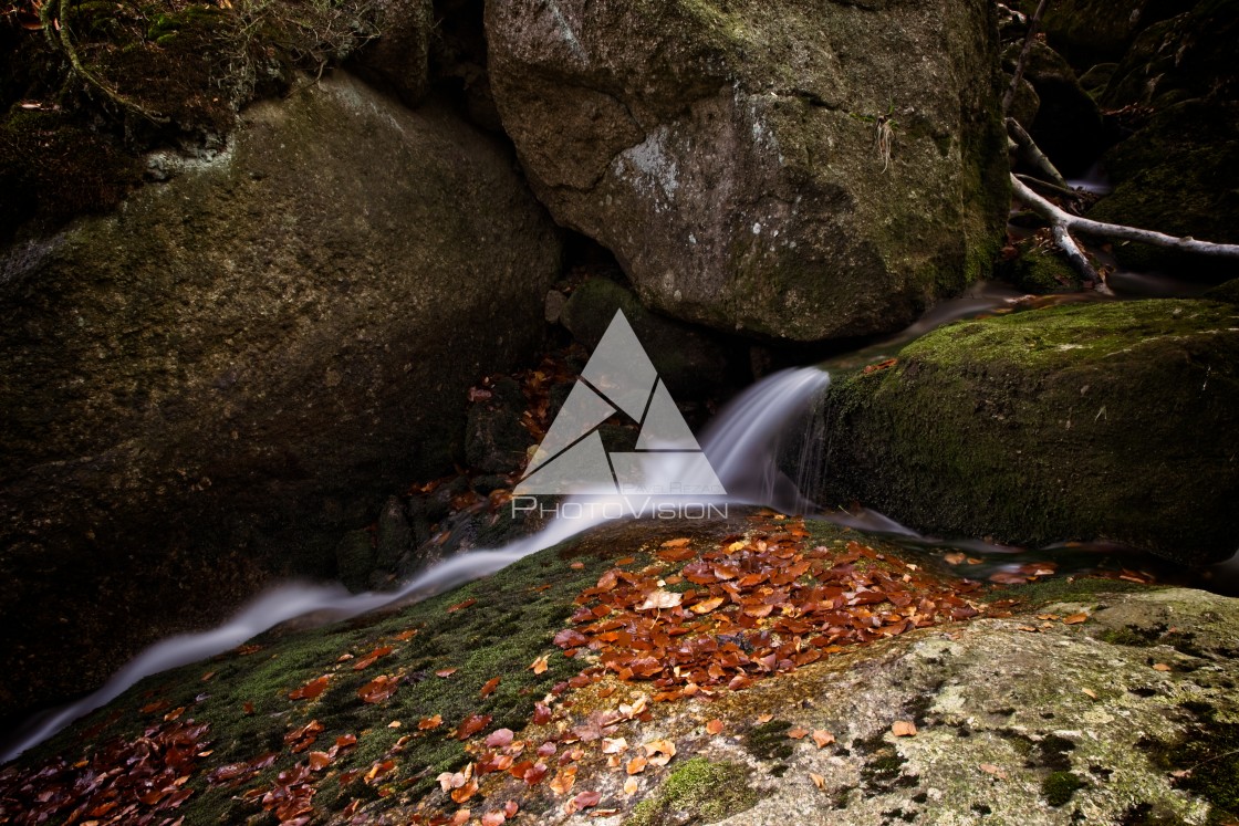 "Waterfalls on the creek" stock image