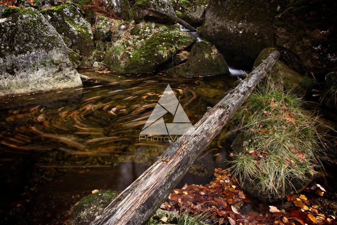 "Waterfalls on the creek" stock image