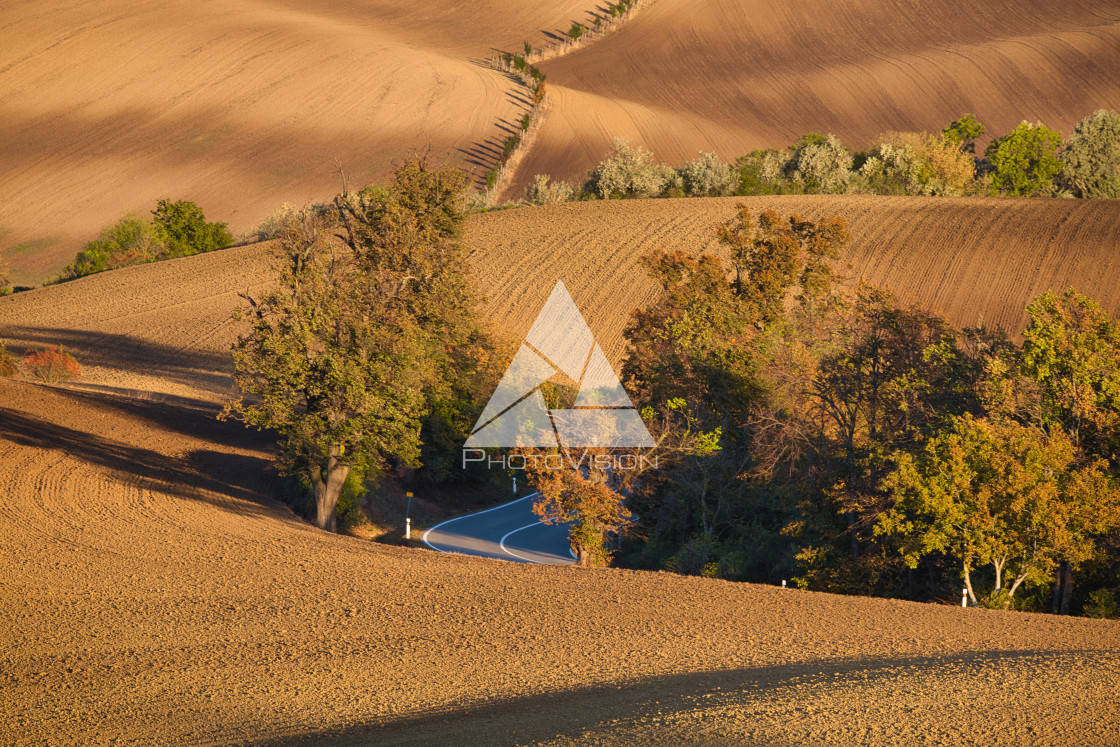 "Autumn light and shadow in countryside" stock image