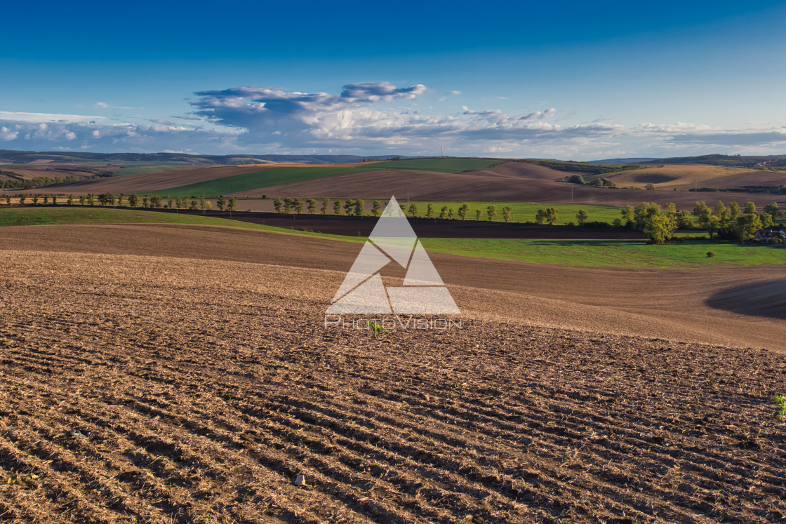 "Agricultural landscape panorama" stock image