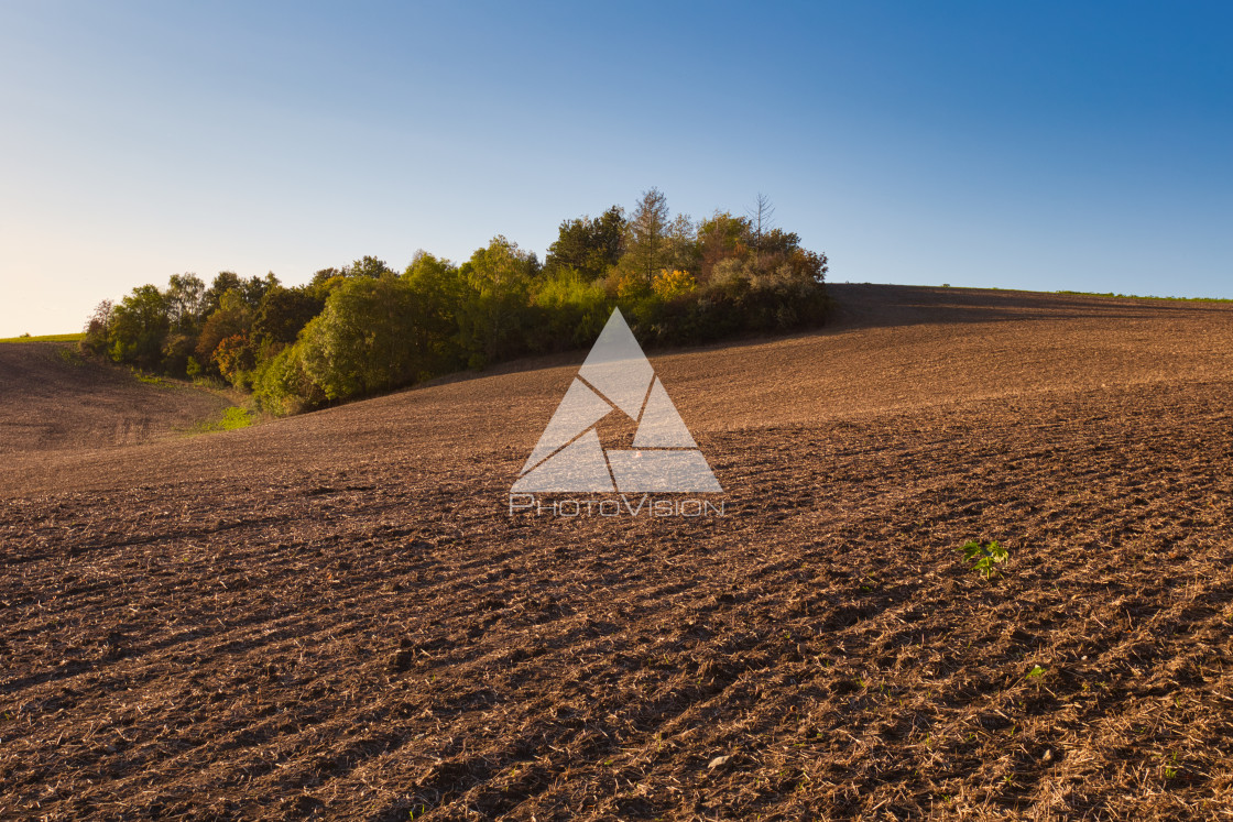 "Agricultural landscape in autumn" stock image