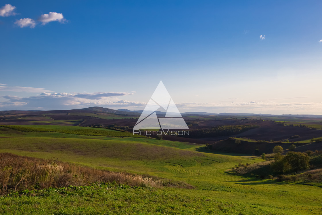 "Agricultural landscape panorama" stock image