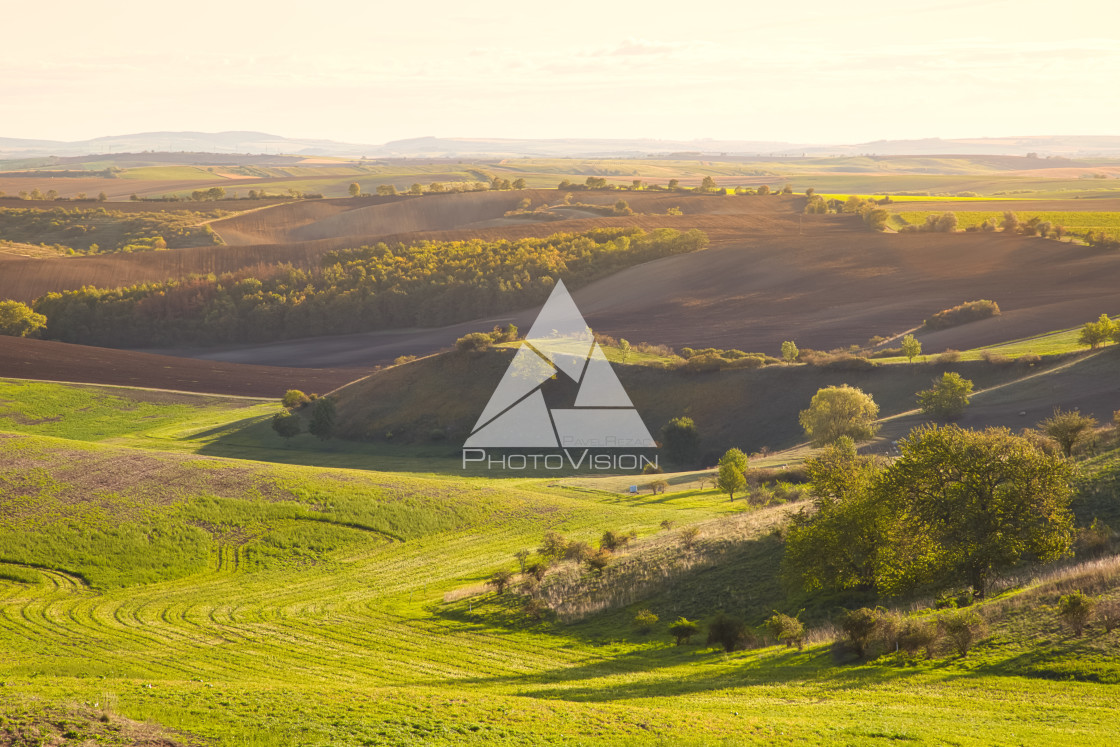 "Agricultural landscape panorama" stock image