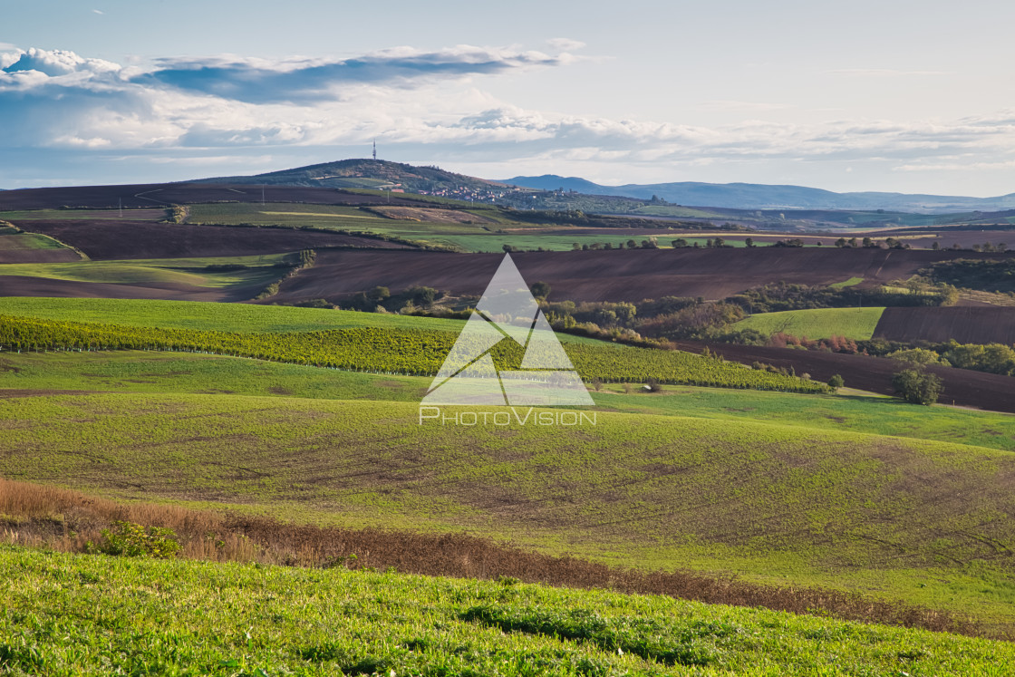 "Agricultural landscape panorama" stock image