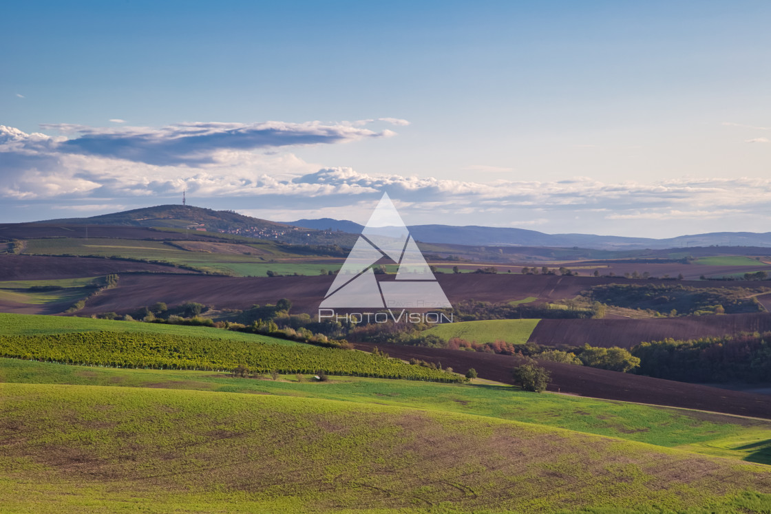 "Agricultural landscape panorama" stock image