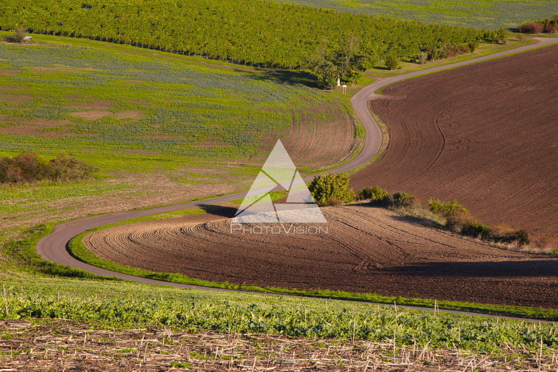 "road with bends between fields" stock image