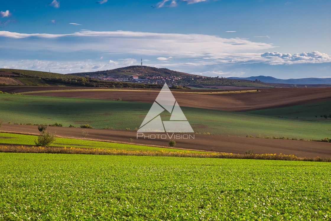 "Agricultural landscape panorama" stock image