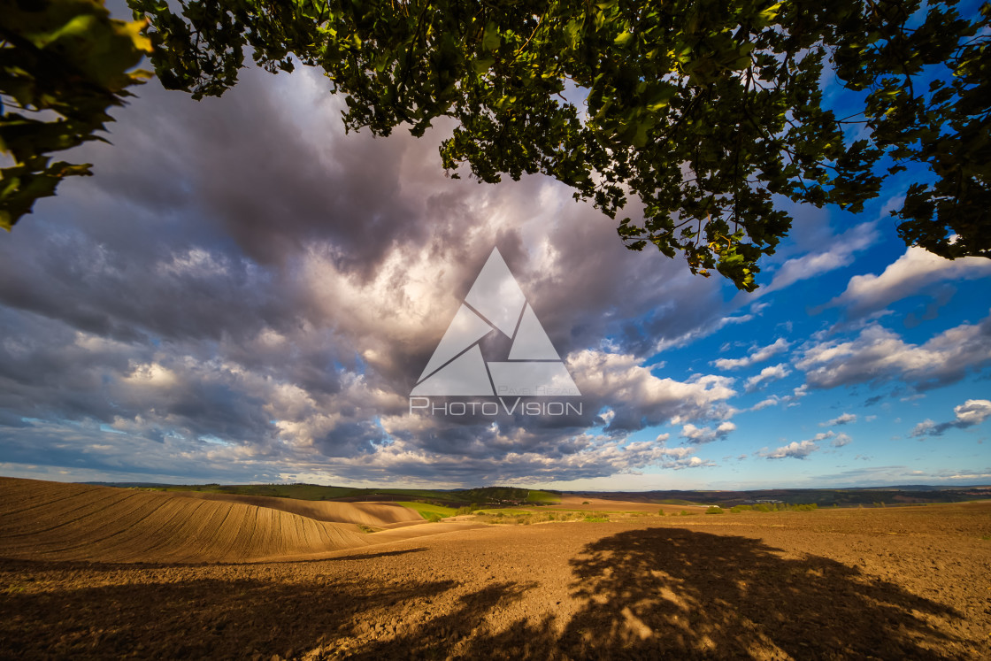 "Autumn field with clouds" stock image