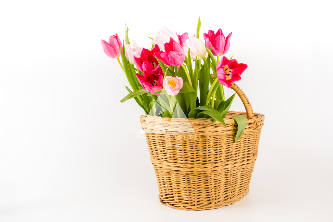 "Bouquet of fresh spring tulips" stock image