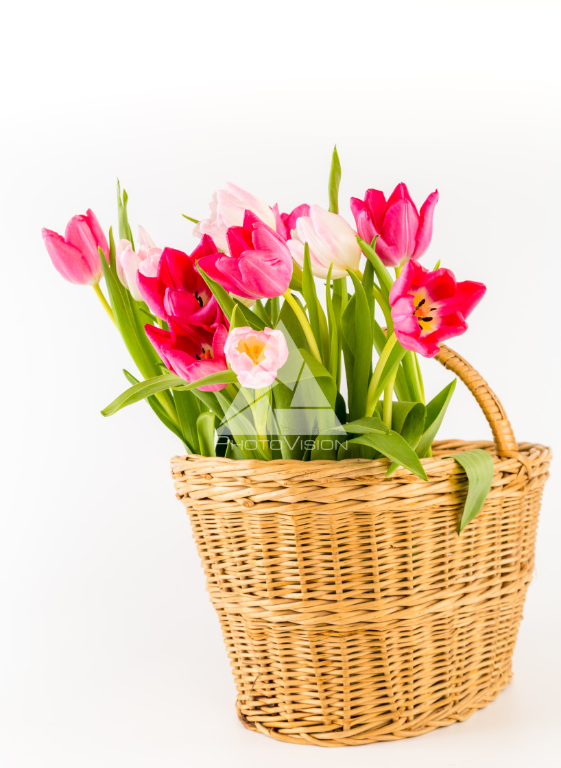 "Bouquet of fresh spring tulips" stock image