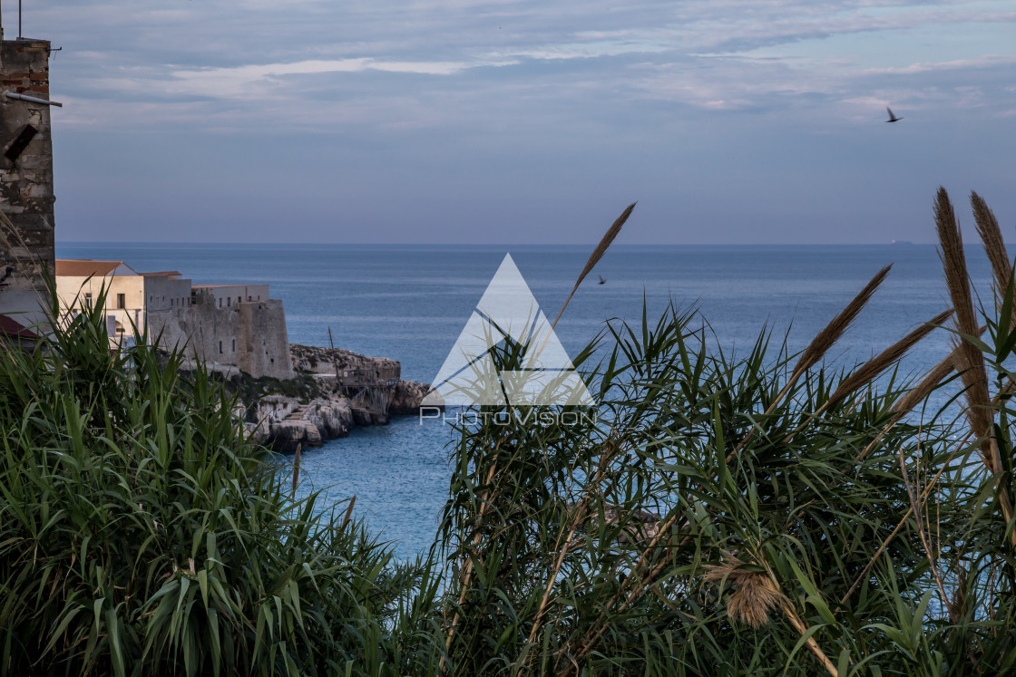 "Early evening bay near Vieste" stock image