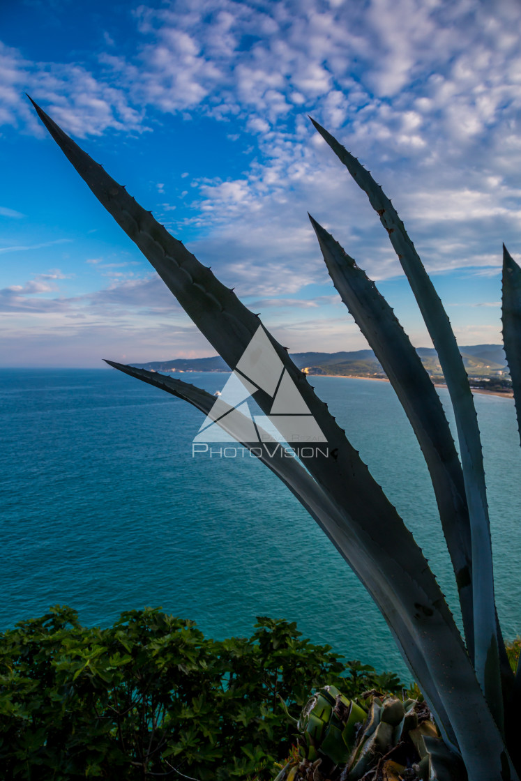 "Pizzomunno Beach in Vieste" stock image