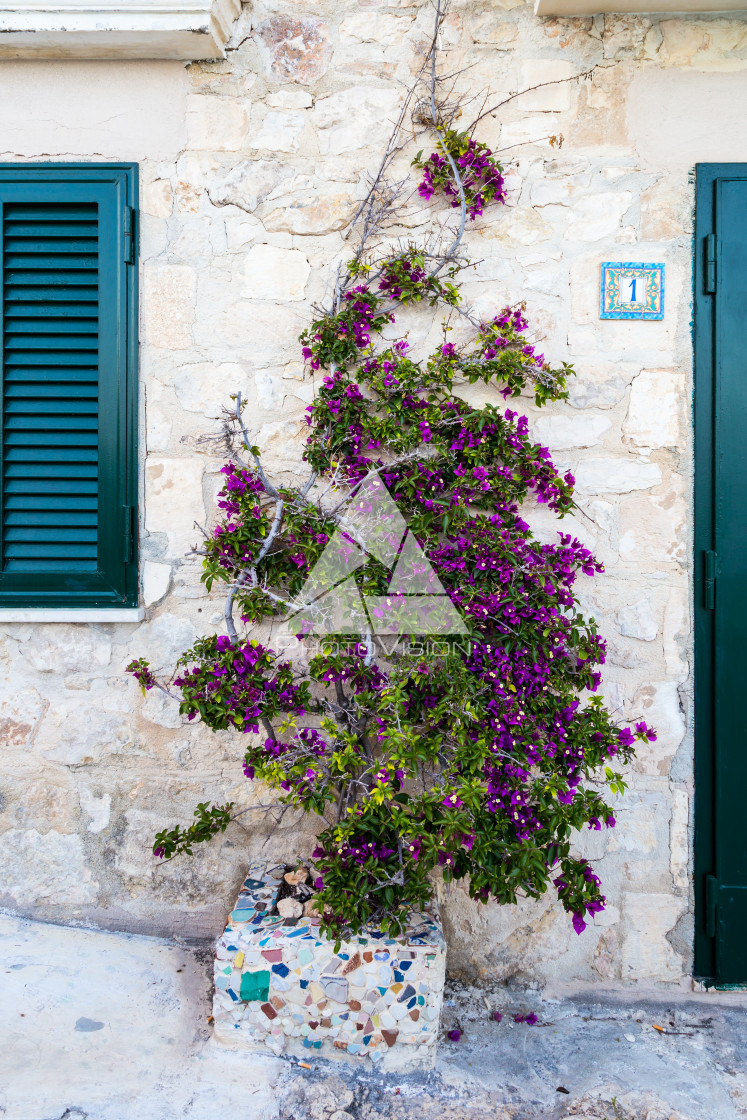 "Garden on the street" stock image