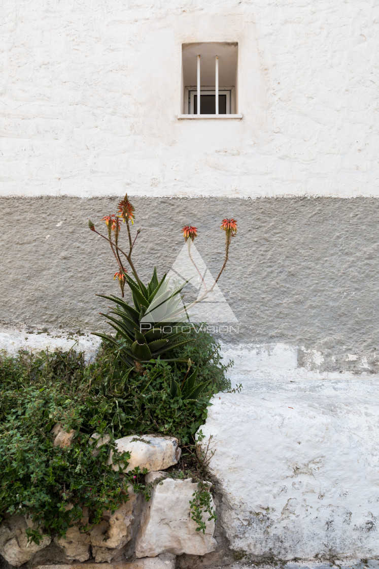 "Garden on the street" stock image