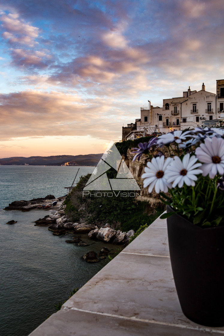 "Vase with flower in Vieste" stock image