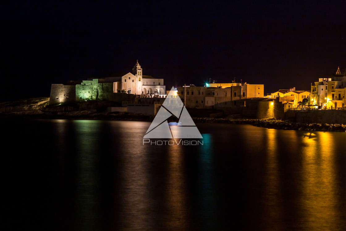 "Vieste in night" stock image