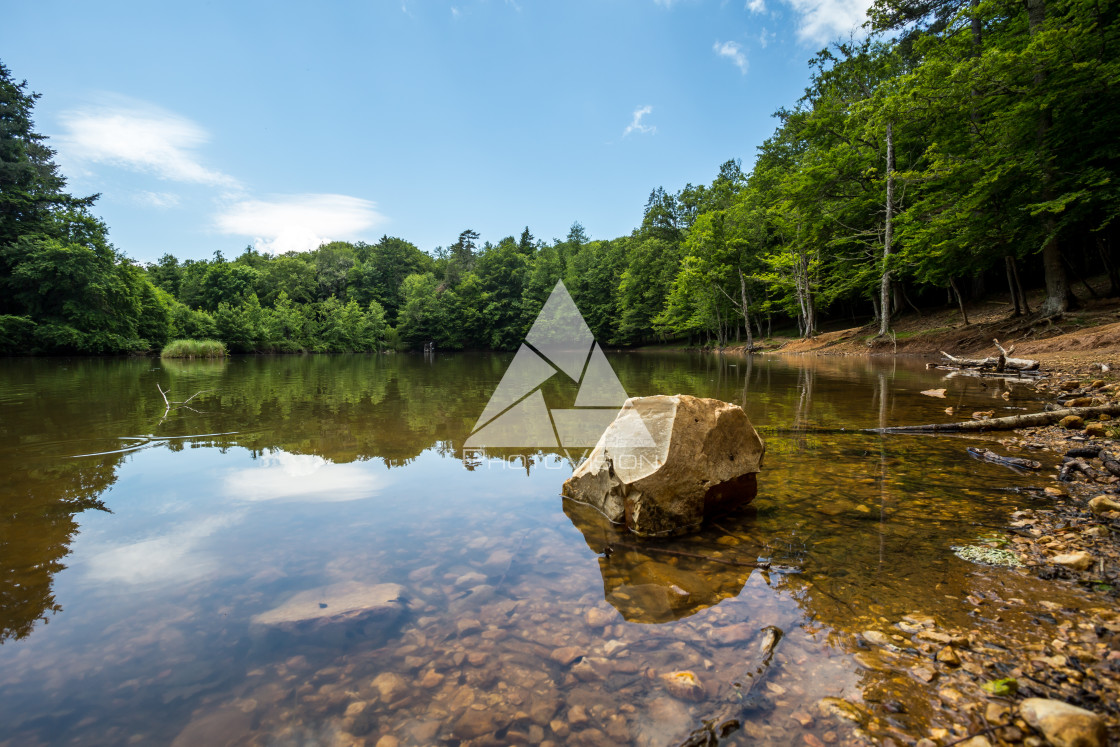 "A picturesque small lake" stock image