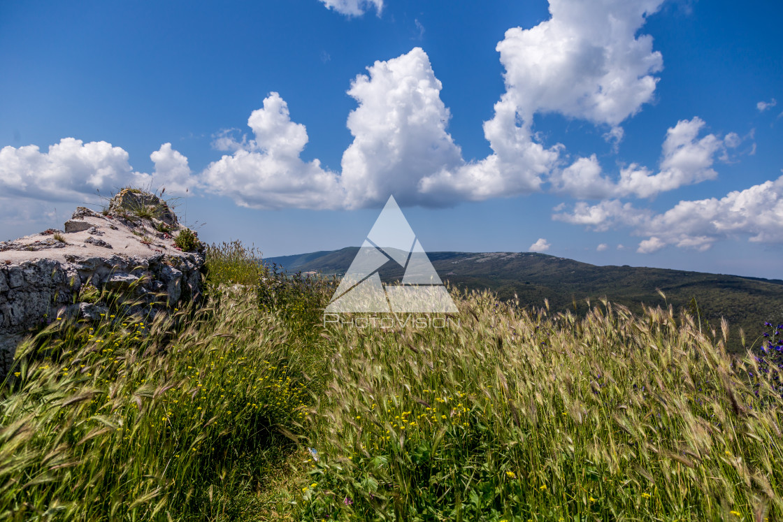 "Landscape Gargano Peninsula" stock image