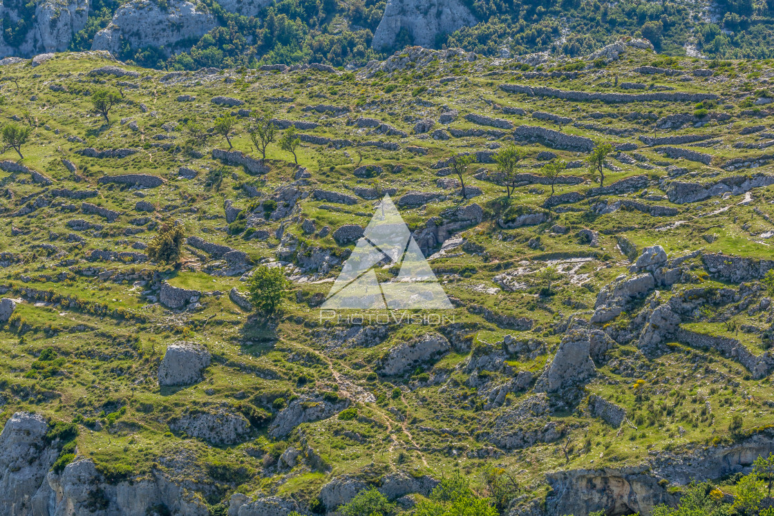 "Landscape meadows Gargano Peninsula" stock image