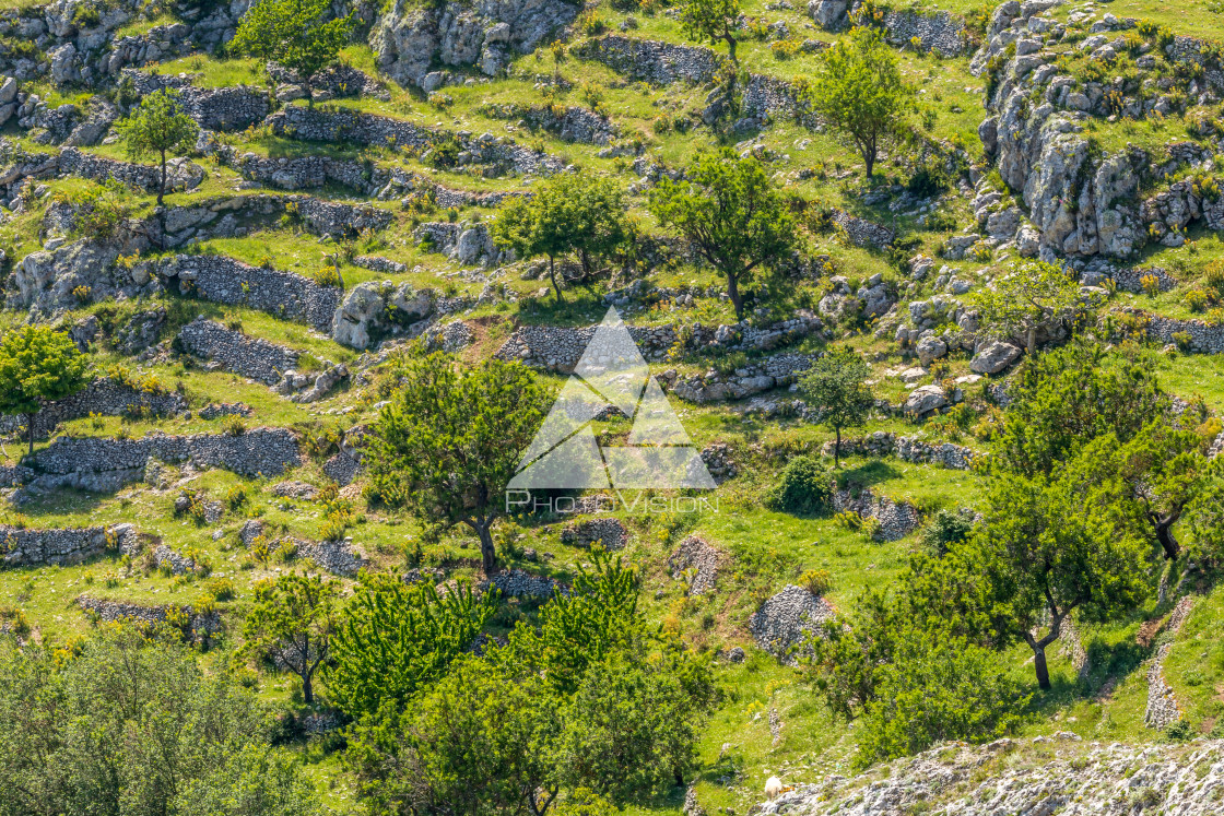 "Landscape meadows Gargano Peninsula" stock image