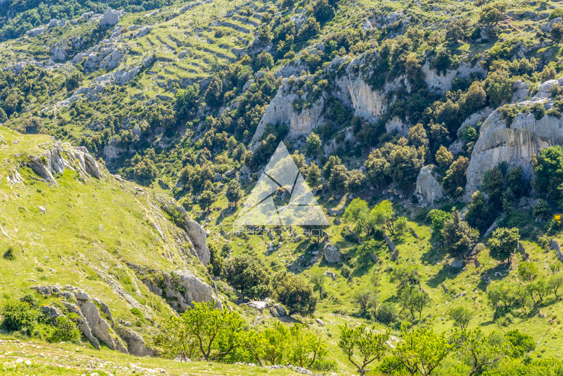 "Landscape meadows Gargano Peninsula" stock image