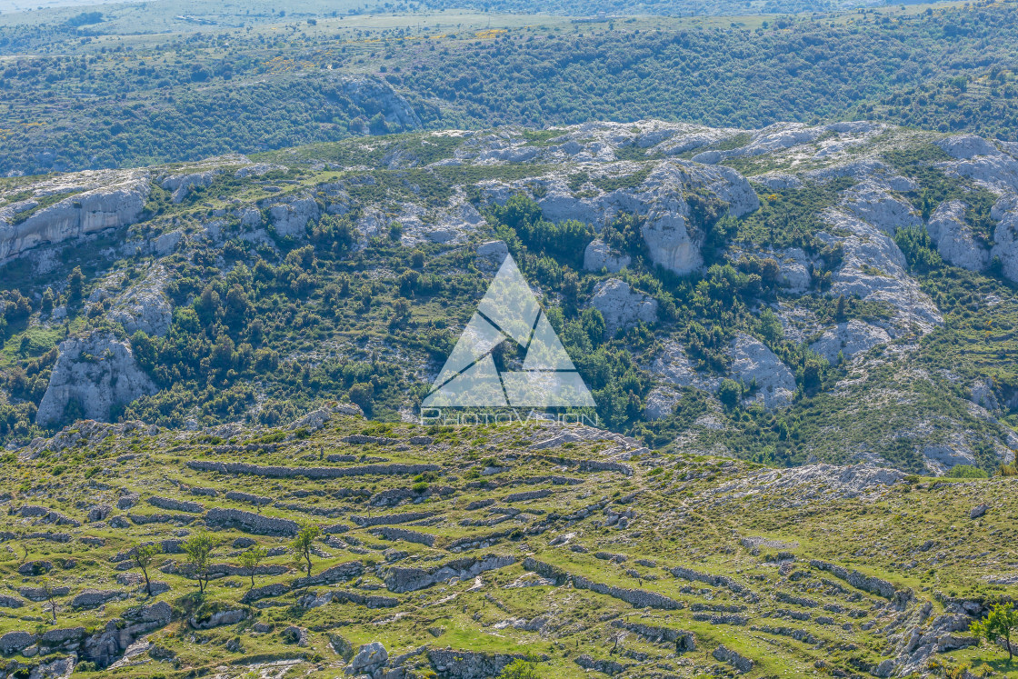 "Landscape meadows Gargano Peninsula" stock image