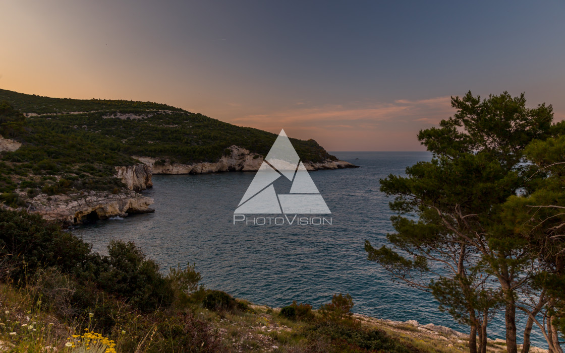 "Rocky coastline" stock image