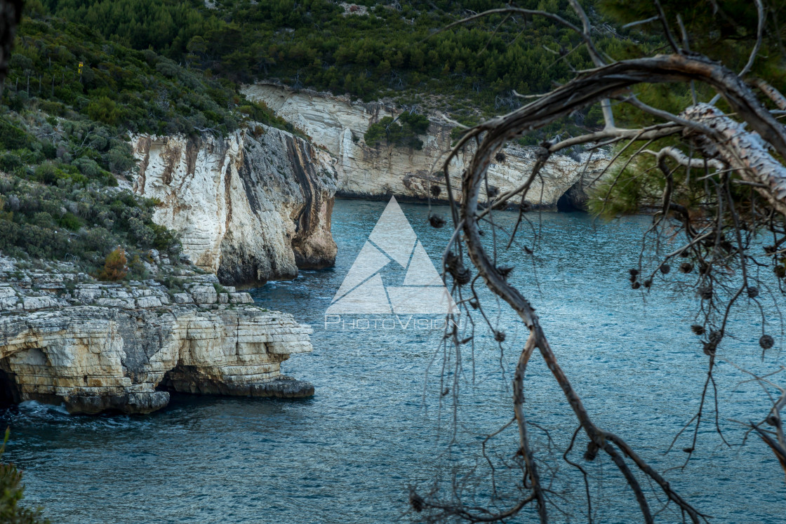 "Rocky coastline" stock image