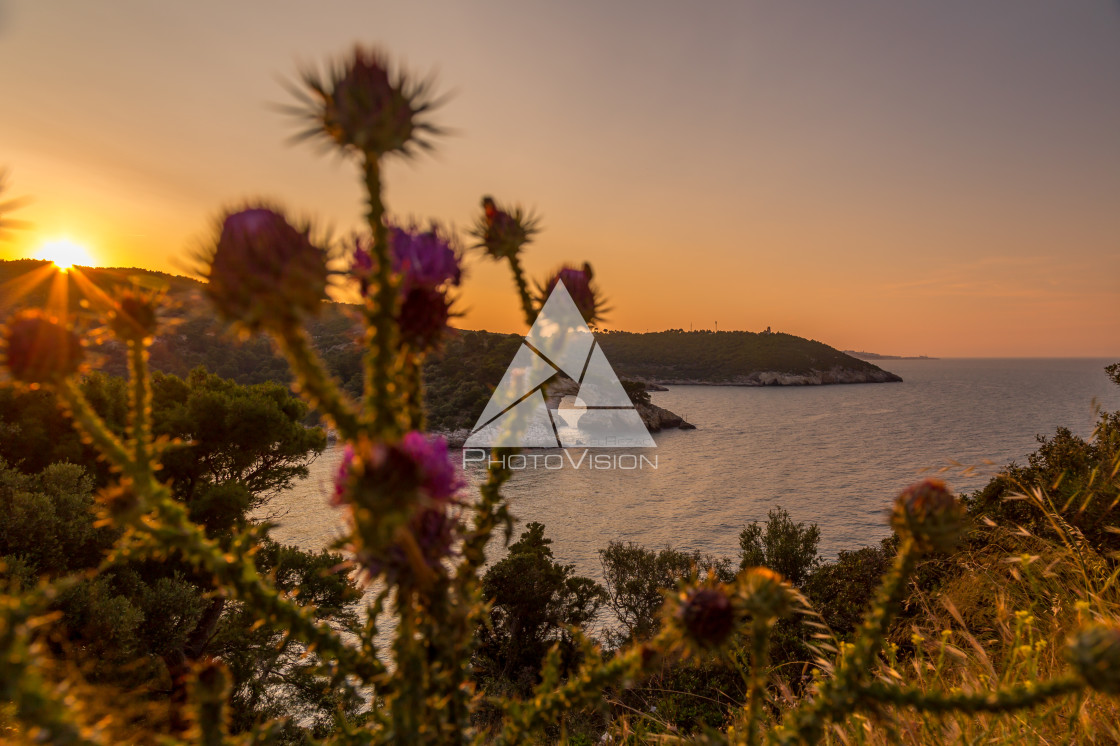 "Wonderful sunset over the coast" stock image