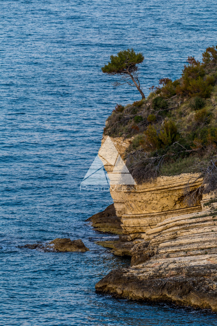 "Rocky coastline" stock image