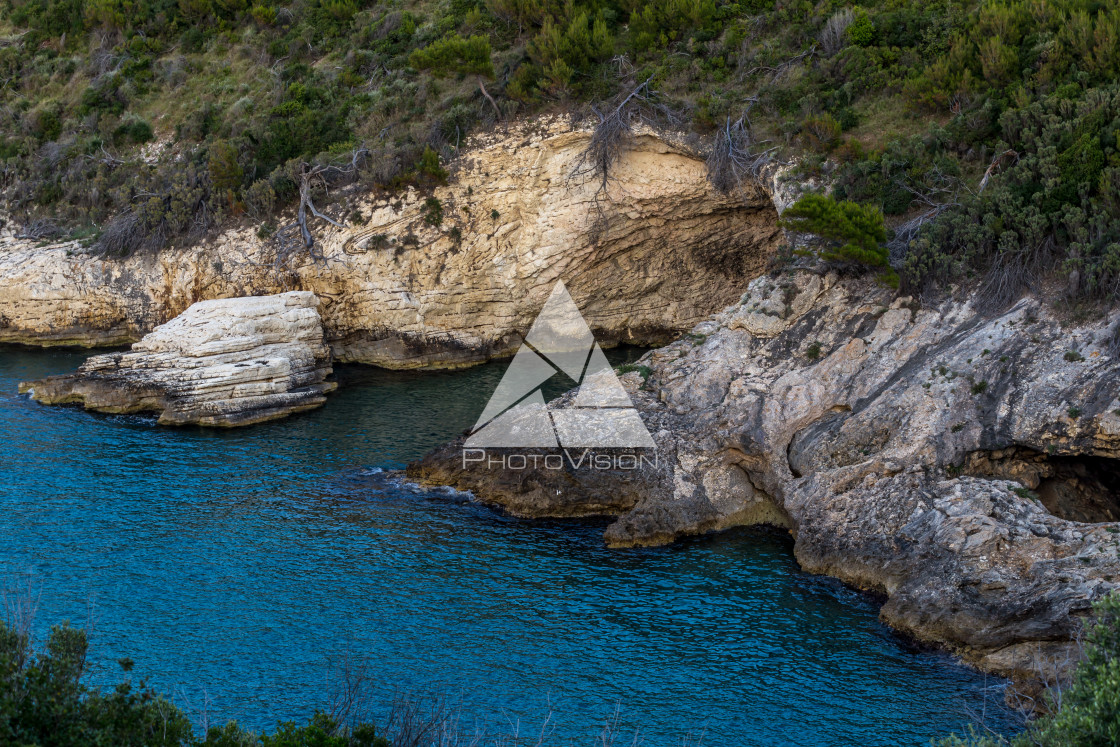 "Rocky coastline" stock image