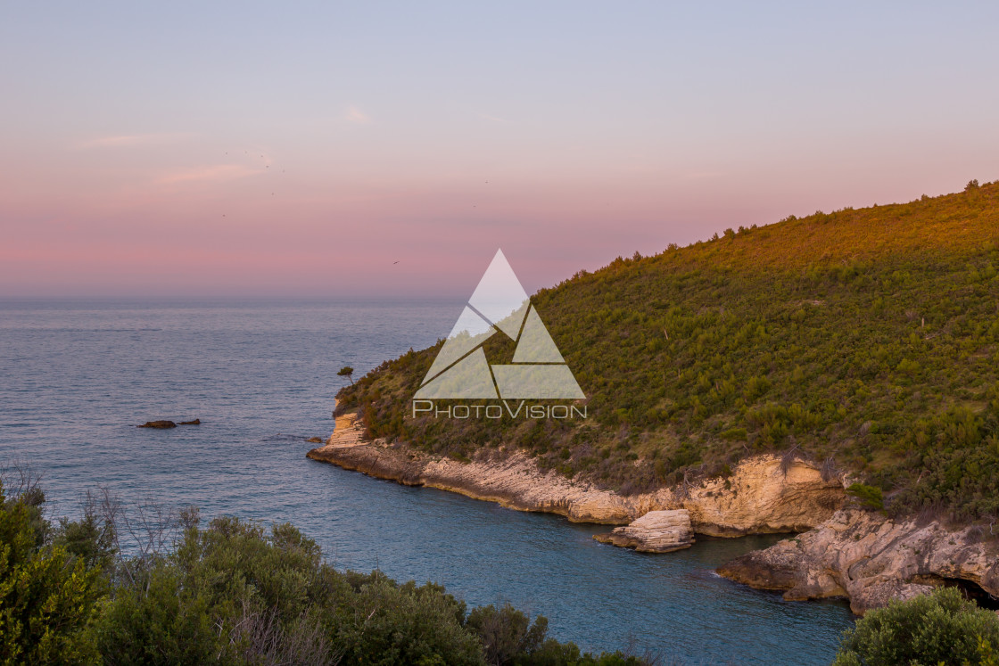 "Rocky coastline" stock image