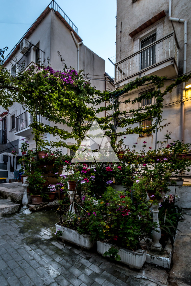 "Garden in narrow street" stock image