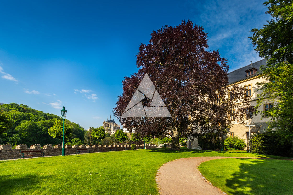 "Royal Palace Park" stock image