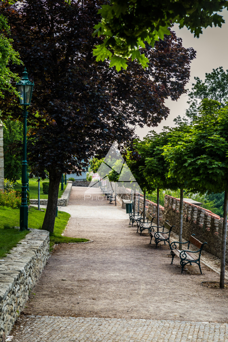 "in park" stock image