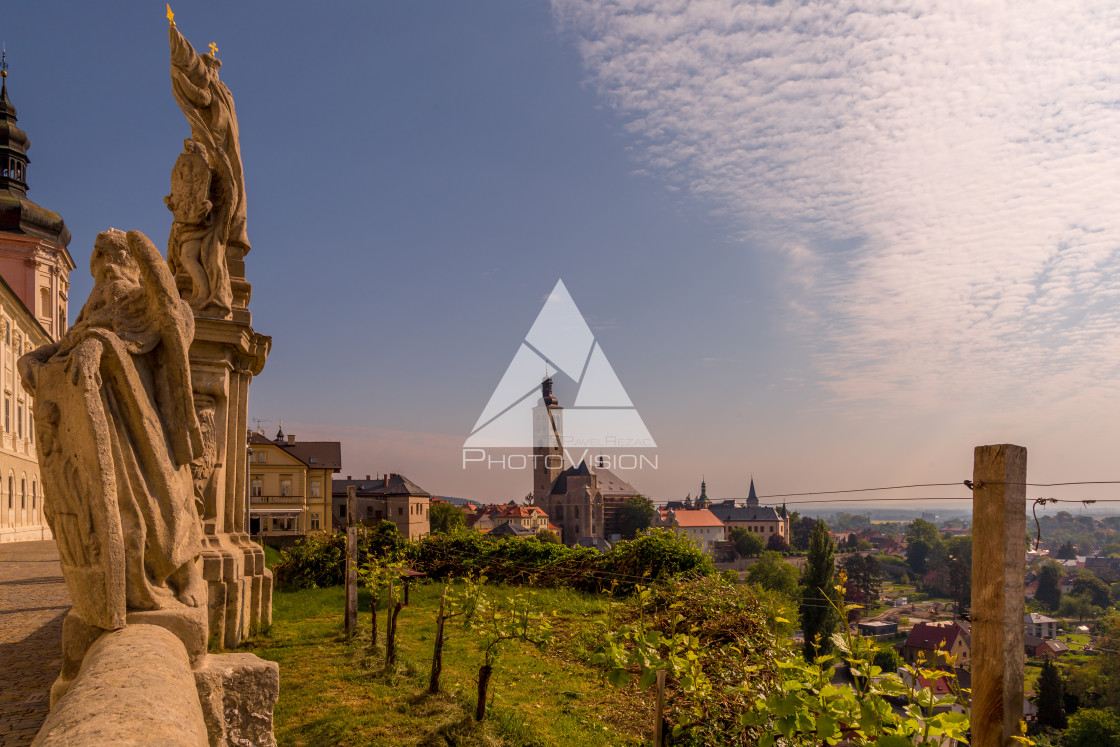 "Vineyards in Kutna Hora" stock image