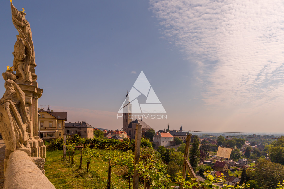 "Vineyards in Kutna Hora" stock image