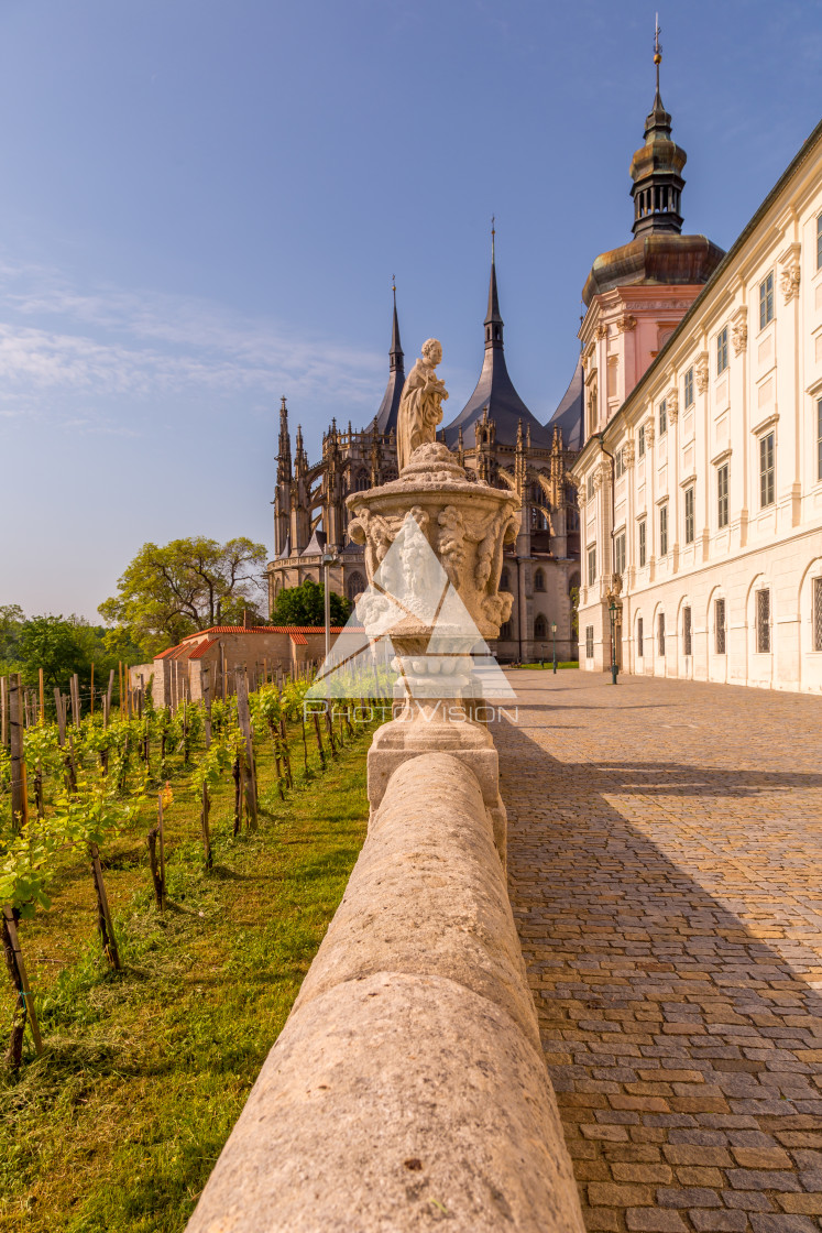 "Vineyards in Kutna Hora" stock image