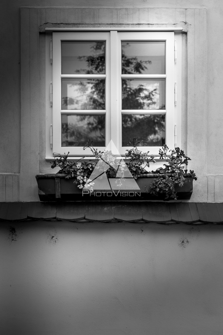 "Old romantic window" stock image