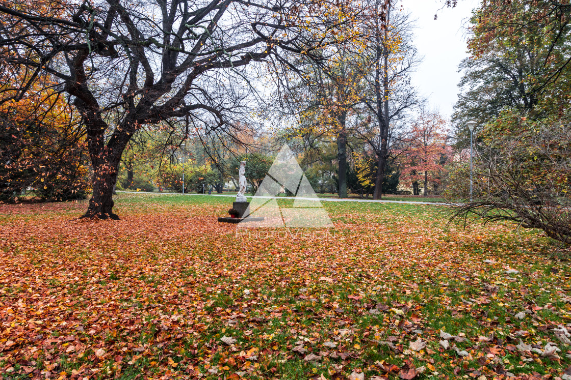 "Autumn morning on the Prague island of Kampa" stock image