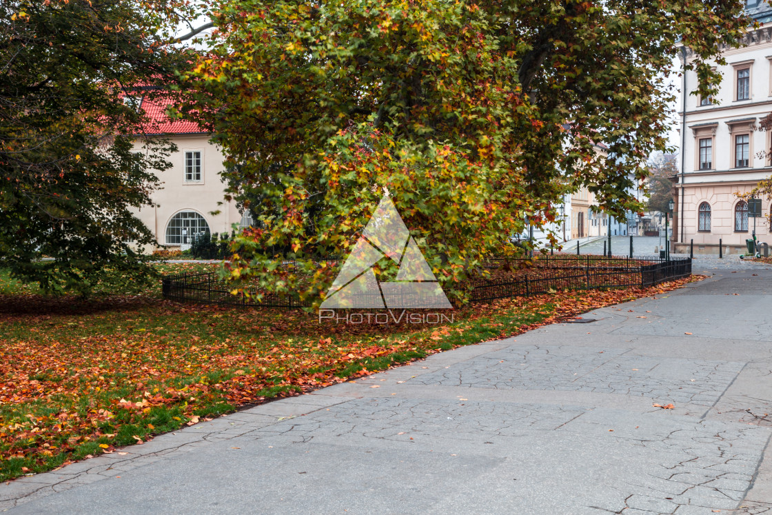 "Autumn morning on the Prague island of Kampa" stock image