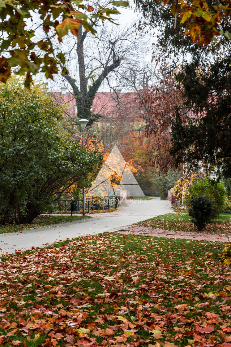 "Autumn morning on the Prague island of Kampa" stock image