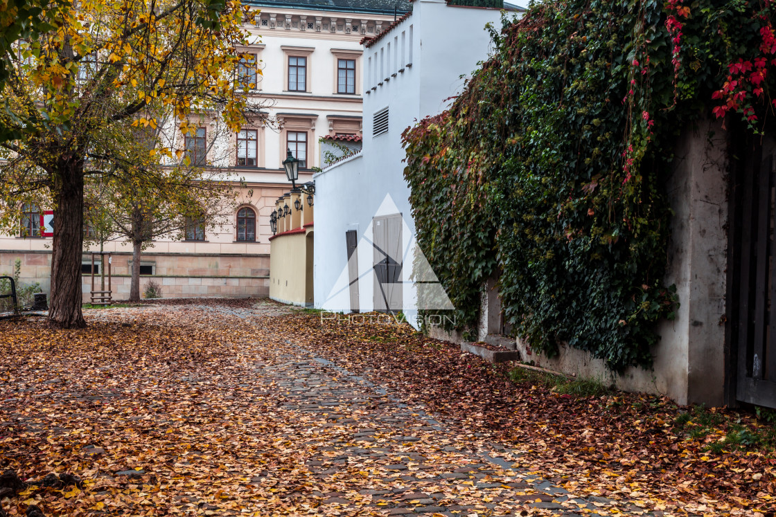 "Autumn morning on the Prague island of Kampa" stock image