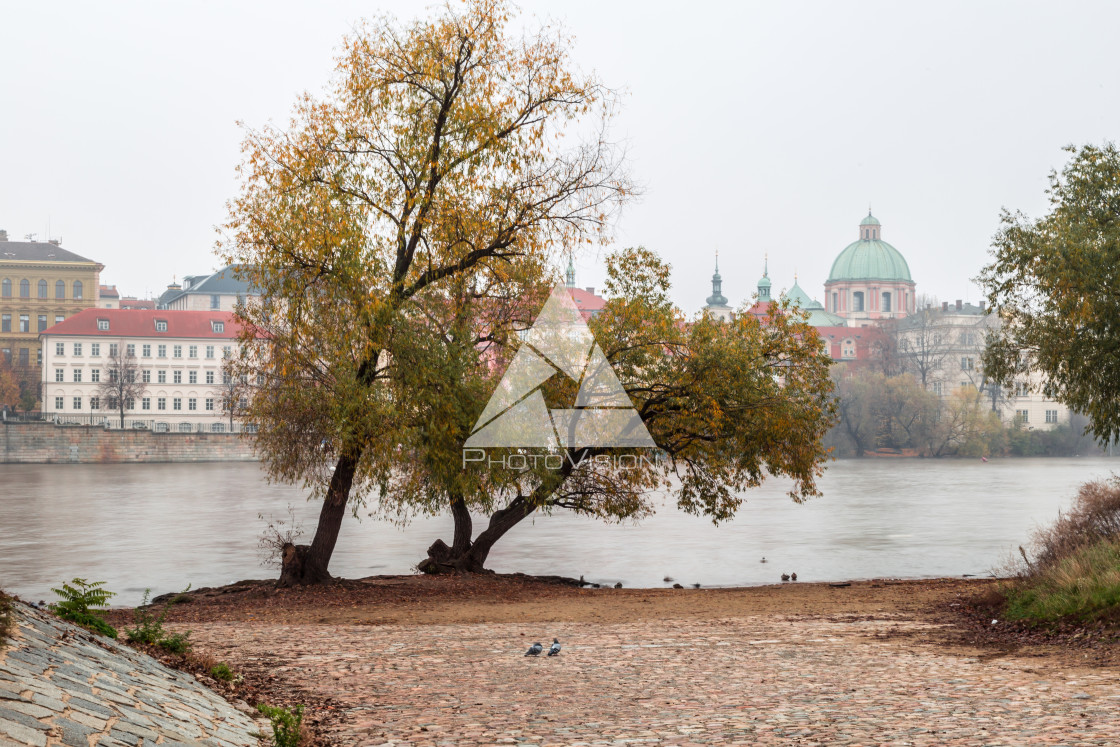 "Autumn morning on the Prague island of Kampa" stock image