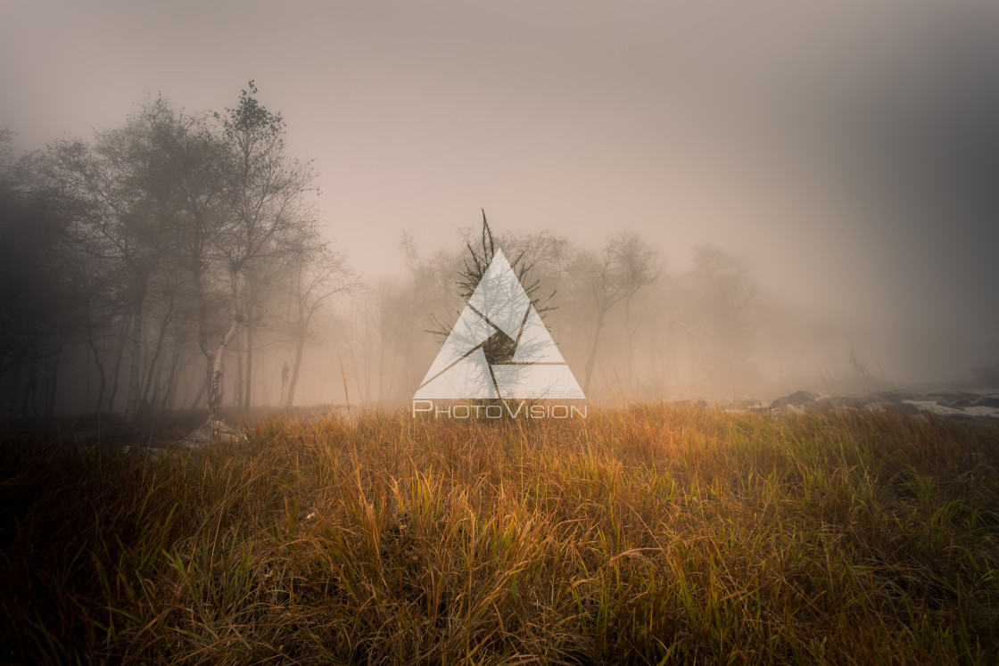 "Autumn foggy landscape" stock image