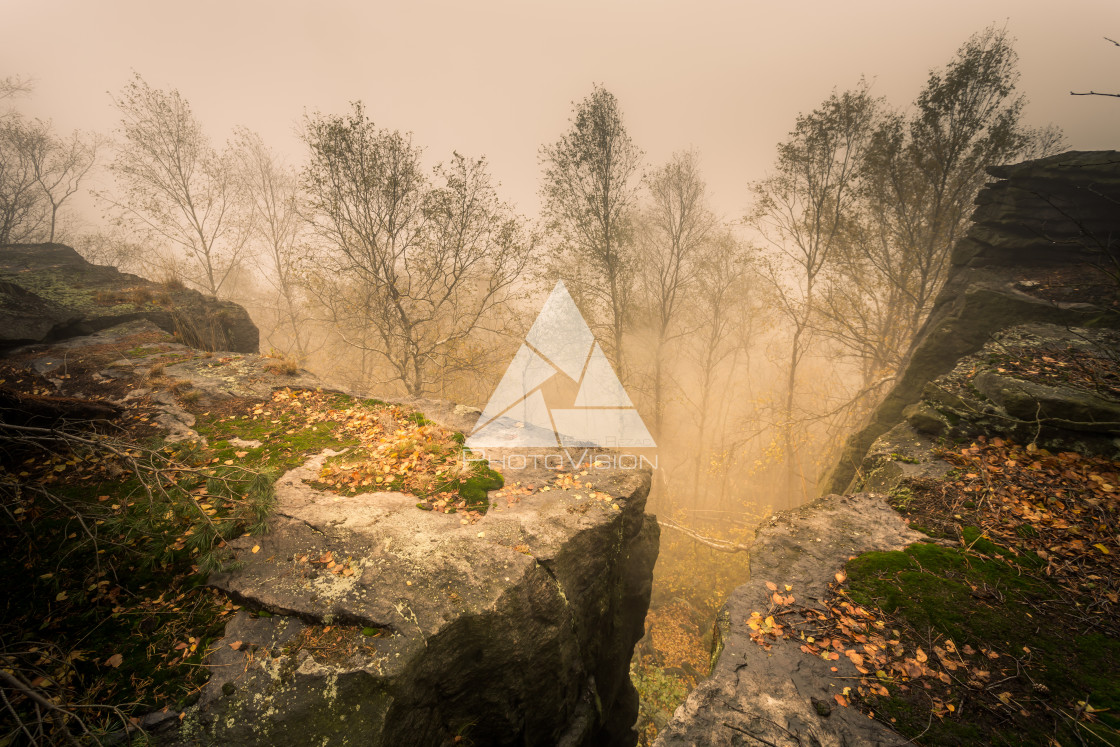 "Autumn foggy landscape" stock image